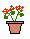 pelargonmini.gif (1025 bytes)